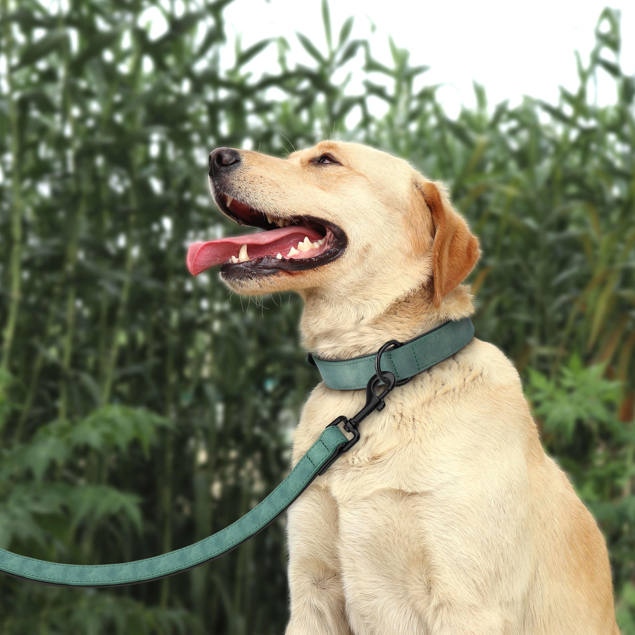 Didog Soft Padded Leather Dog Collar And Leash Set, Heavy Duty 4Ft Faux Leather Dog Leash And Collar Set With Metal Buckle For S